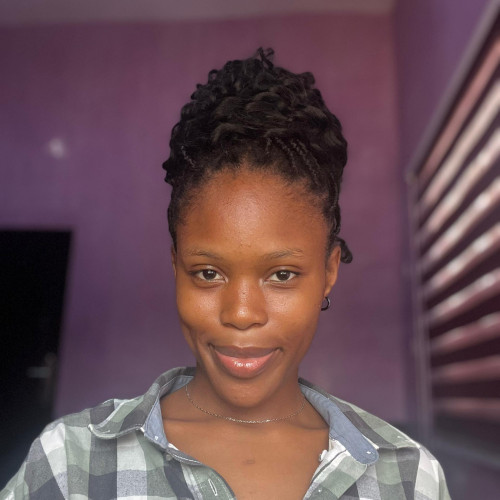 Nwankwo  D. profile photo