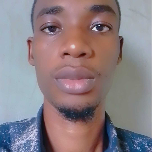 bolaji a.