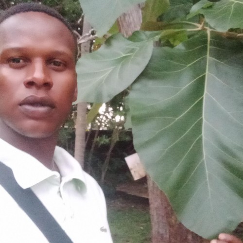 Calvin  Y. profile photo