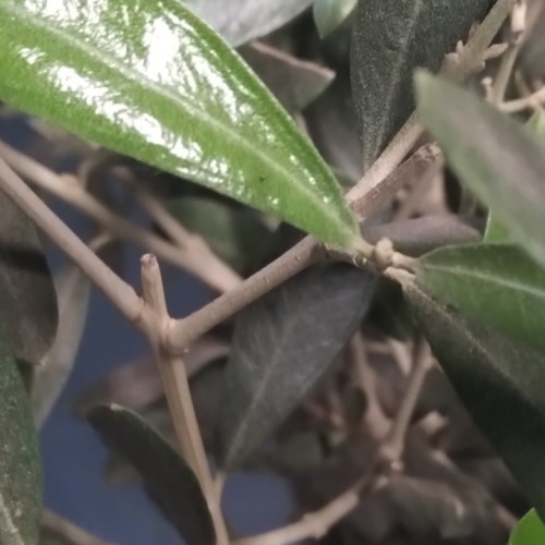 Unis E. profile photo