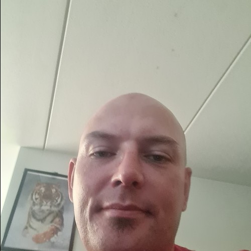 Niklas L. profile photo