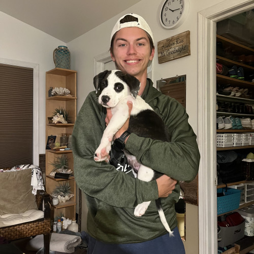 Brett H. profile photo