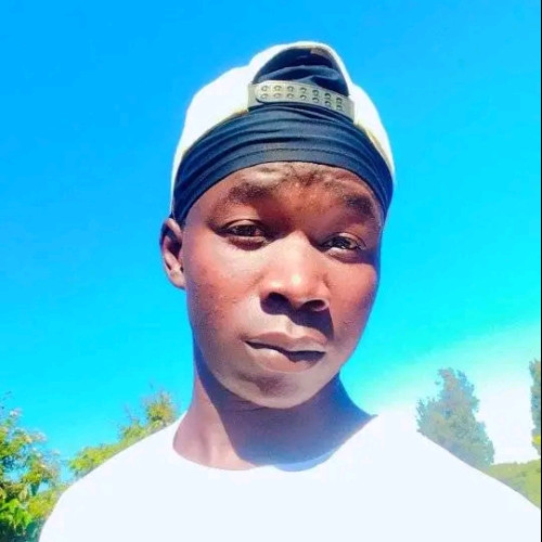 Job O. profile photo