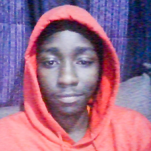 David M. profile photo