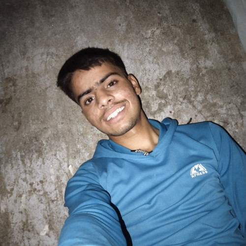Arman M. profile photo