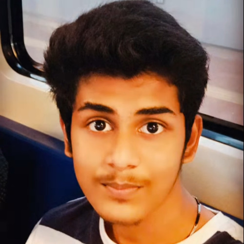 Laksin VJ V. profile photo