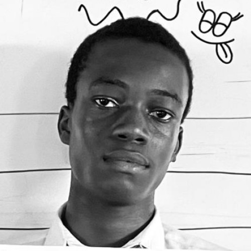 Ituraoluwa  O. profile photo