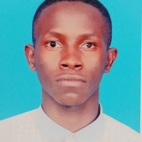 Brayan S. profile photo