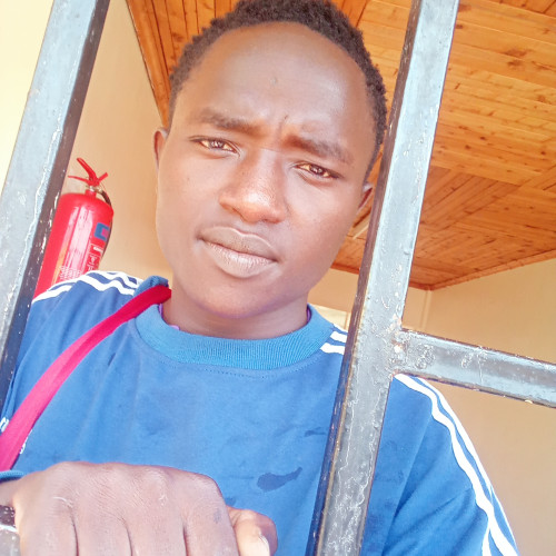 Daniel K. profile photo