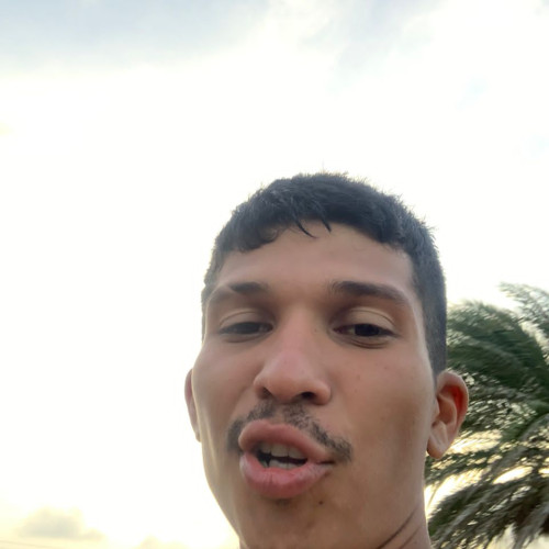 Jose  C. profile photo