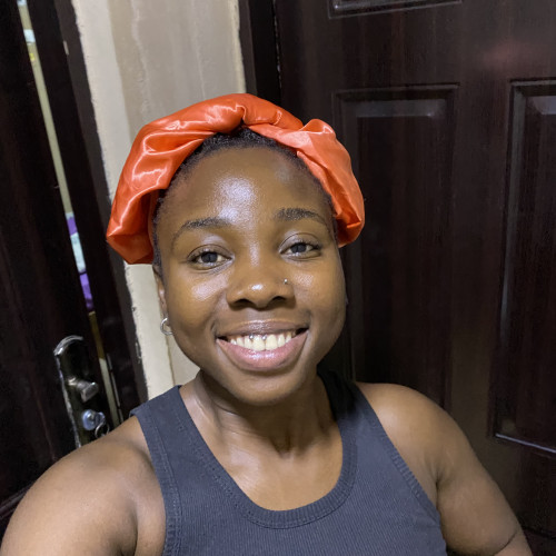 itunu  A. profile photo