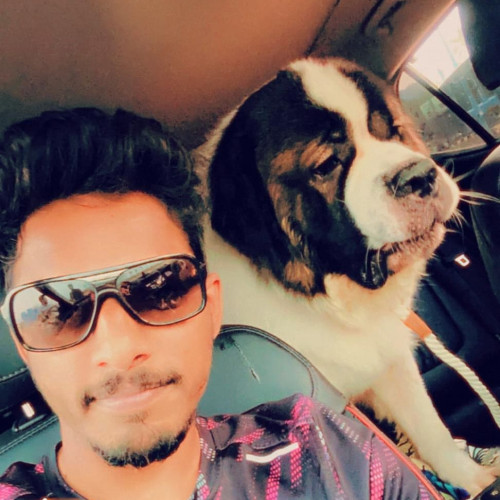 Krishna  P. profile photo