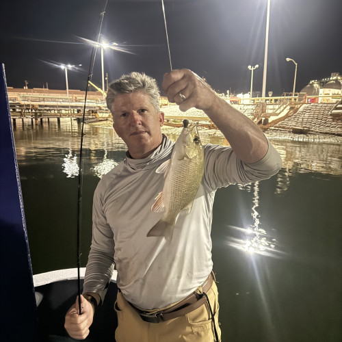David C. profile photo