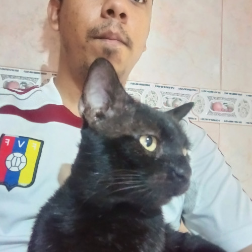 Riccio L. profile photo