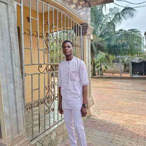 Emmanuel U. profile photo