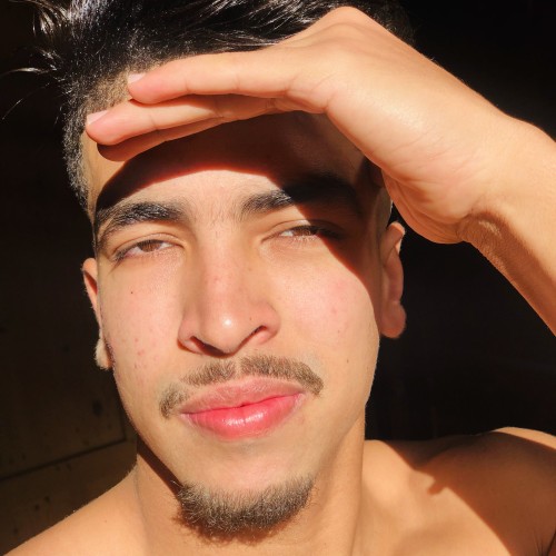 Hamza M. profile photo