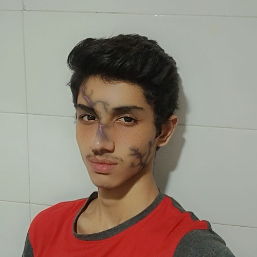 Taha K.