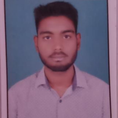 Aryaveer  P. profile photo