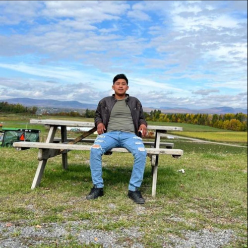 Marco P. profile photo