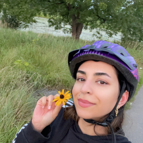 Sepideh N. profile photo