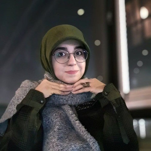 Fatemeh N.