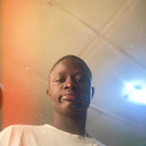 Olatunji S. profile photo
