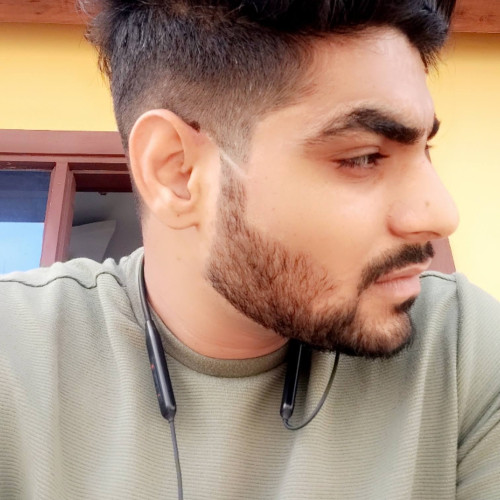 Shubham R.