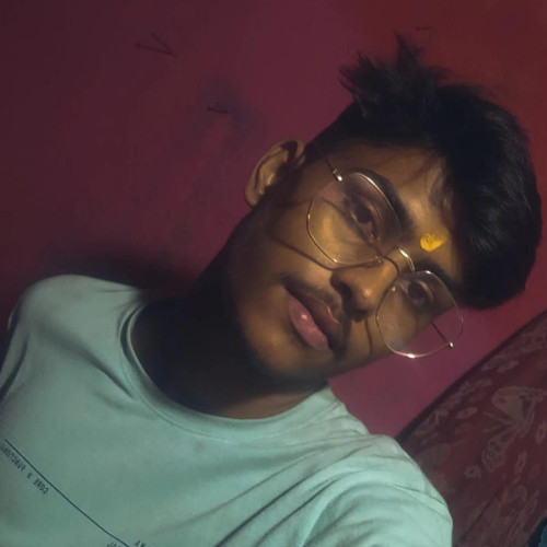 Koushik pratap s.