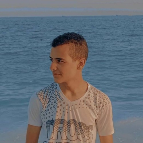 Abdelrahman M.