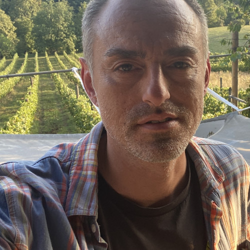 Damir K. profile photo