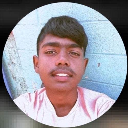 Sagnik K.