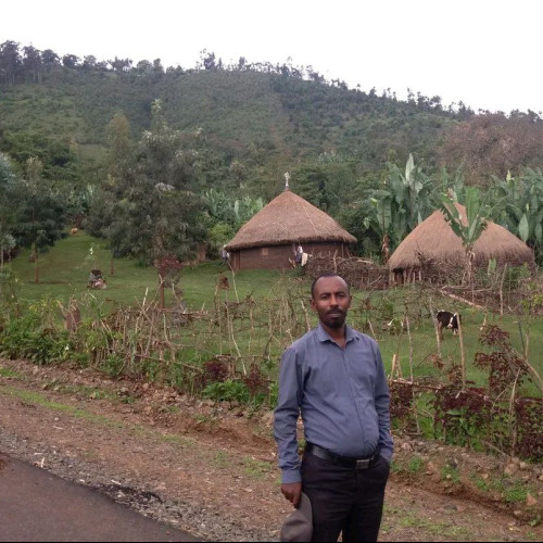 Birhanu A. profile photo