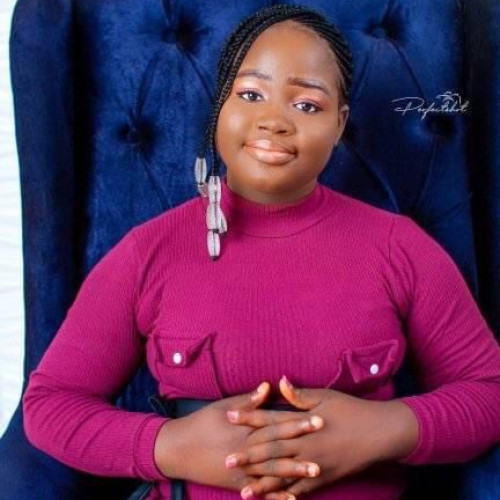 Hamidu Abibat  O. profile photo