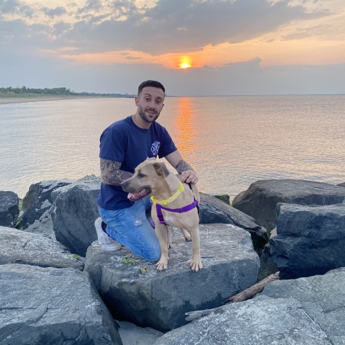 Rocco N. profile photo