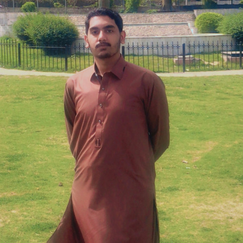 Muhammad Faizan  S. profile photo