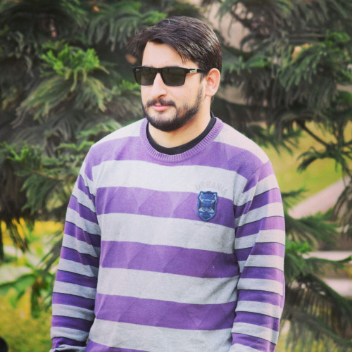 Hasnain Ali S.