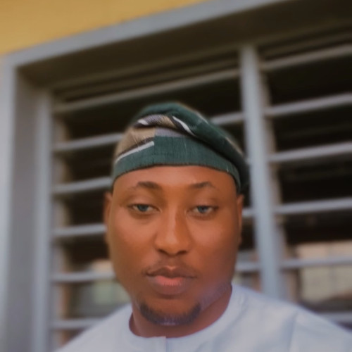Adewale A. profile photo