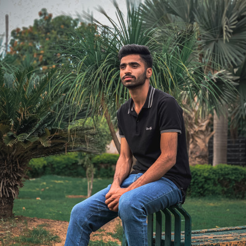 talha h. profile photo