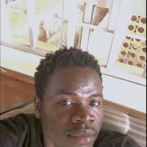 Elvis  O. profile photo