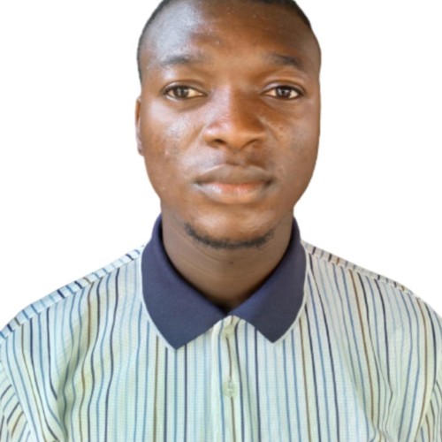 Olalekan  L. profile photo