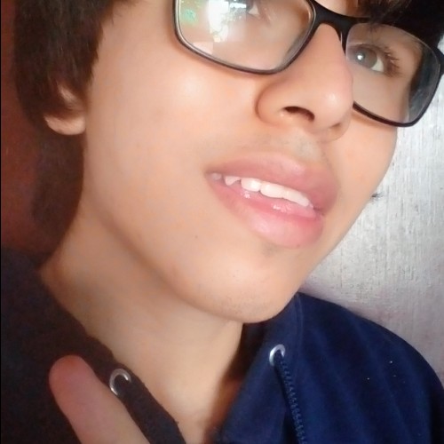 Dinmayer d.