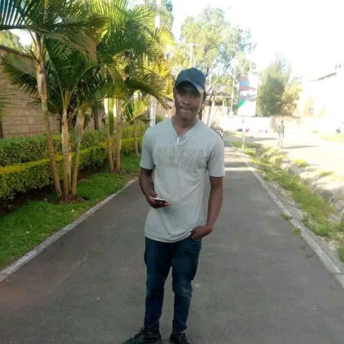 Dan M. profile photo