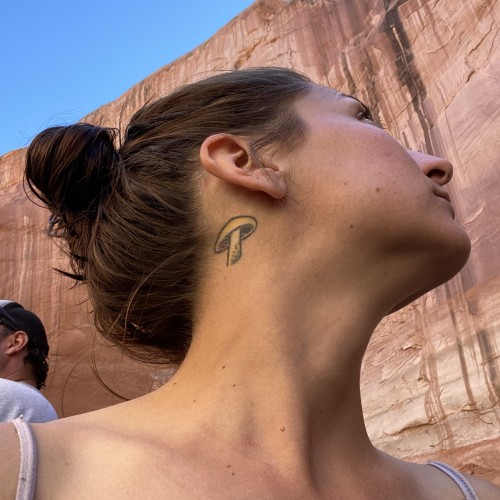 Lindsey  P. profile photo