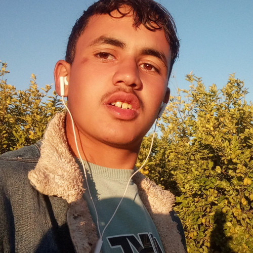 Khalid B. profile photo