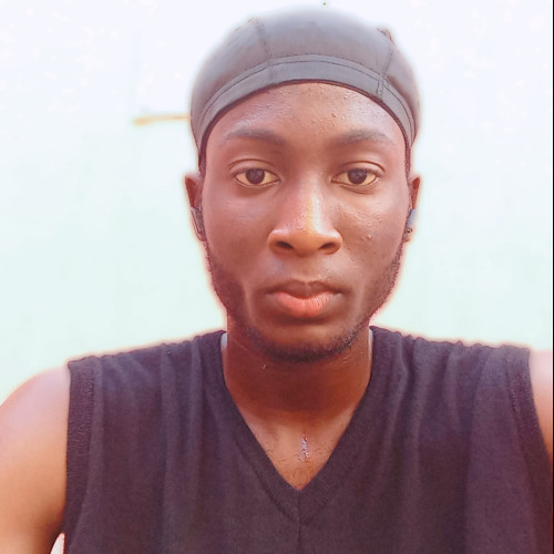 Ogundele O.