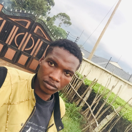 Gideon N. profile photo