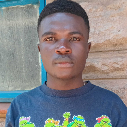 Lewis n. profile photo