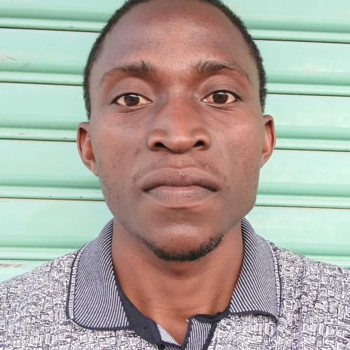 SALMINI M. profile photo