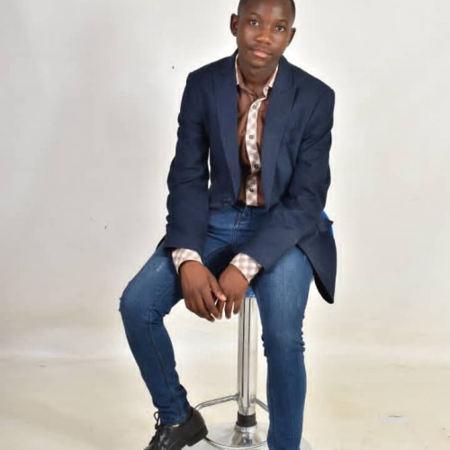 Anesu Panashe  M. profile photo