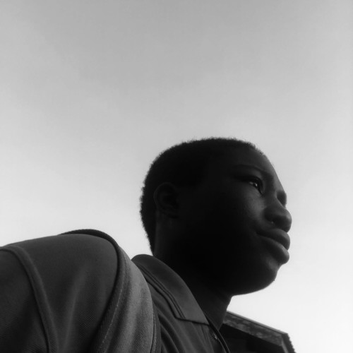 David s. profile photo